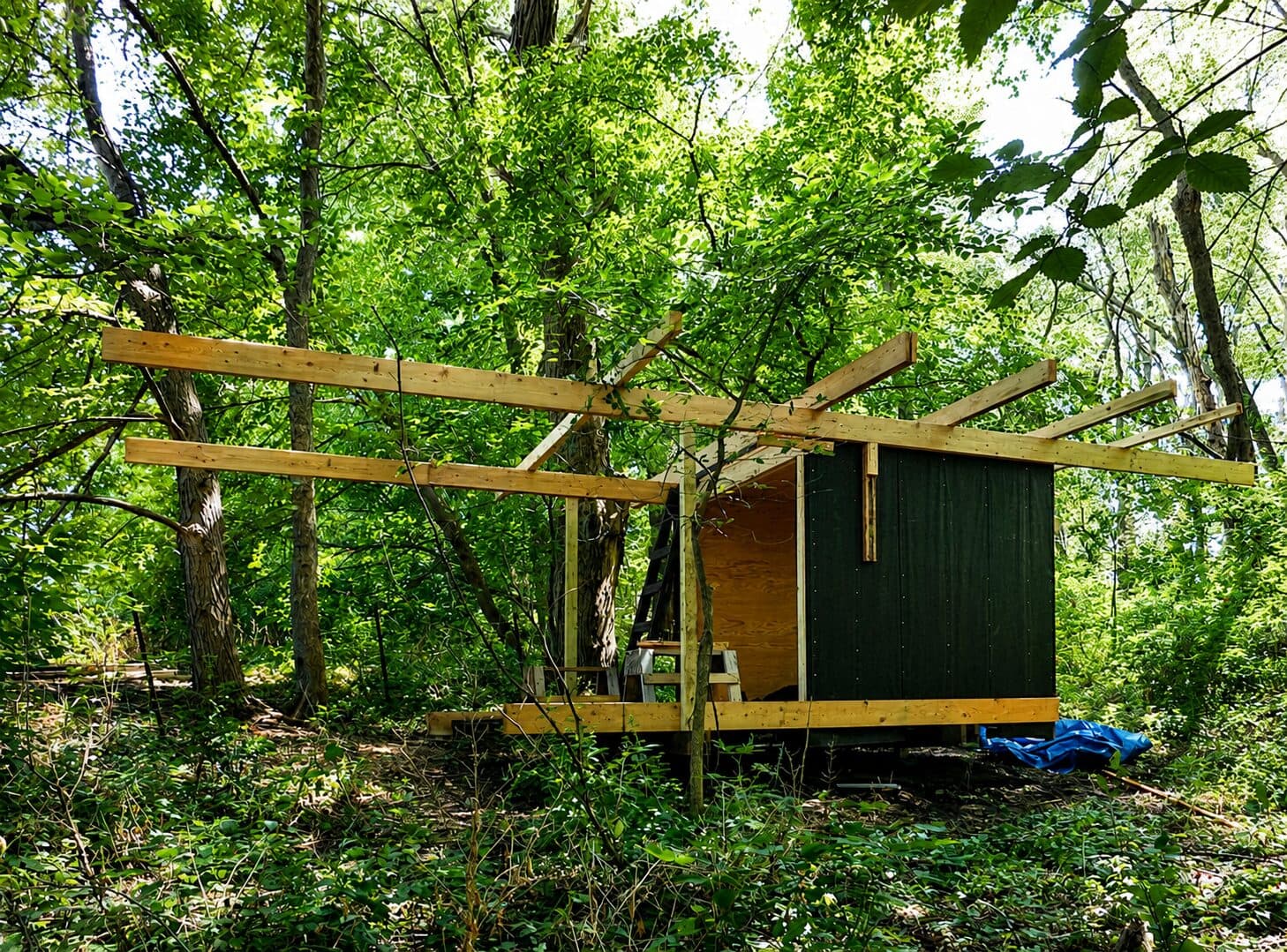 Framed Cabin under construction